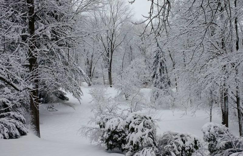 david-lee-manchester-snow-senic