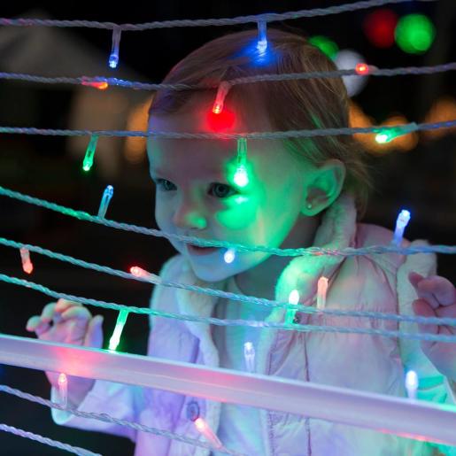 The Great Christmas Light Show