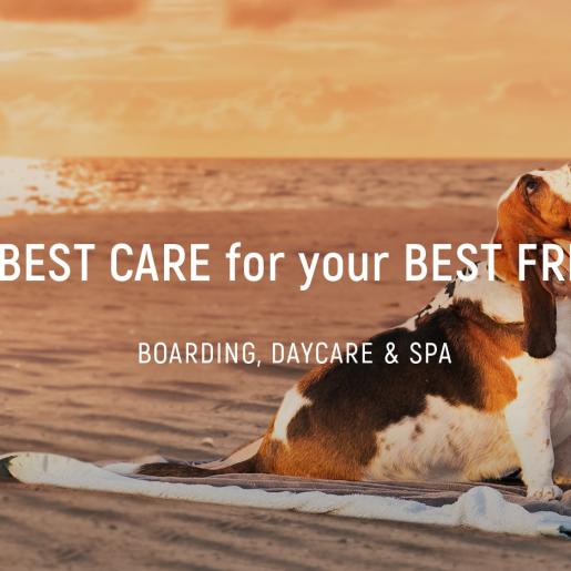 Coastal Paws Pet Resort | North Myrtle Beach, SC 29582