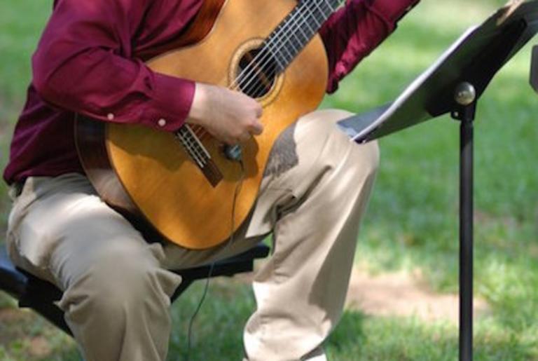 Pro Classical Guitarist