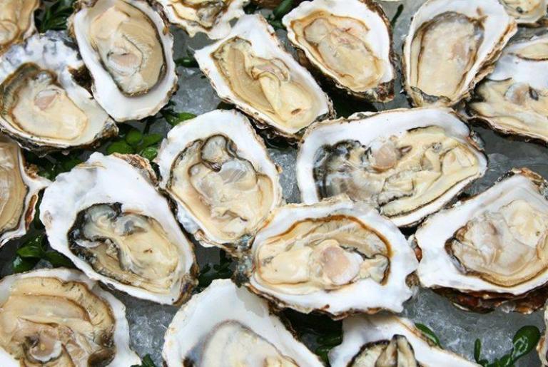 Oyster Tuesday at George's
