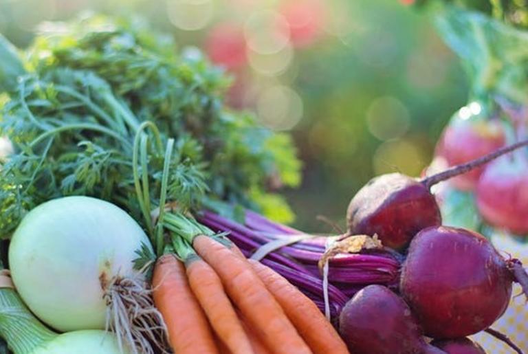 localHarvest