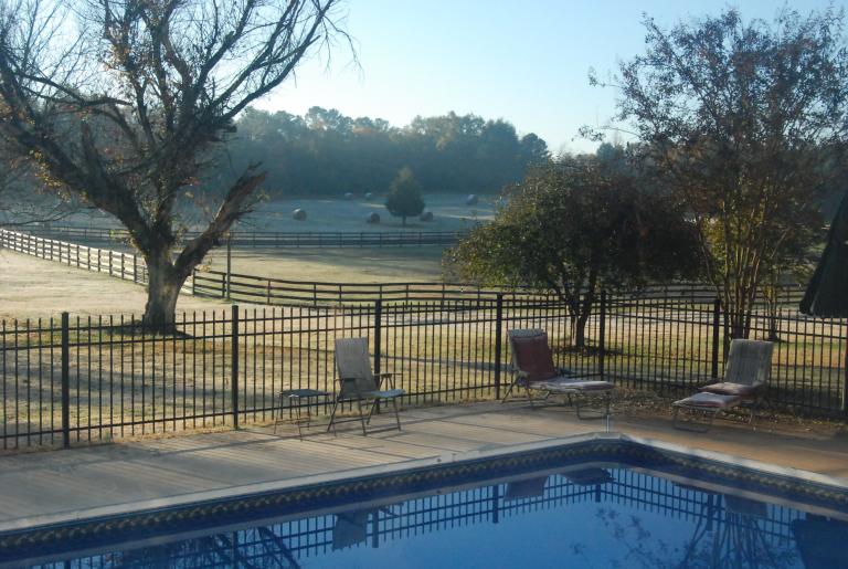 Pasture view