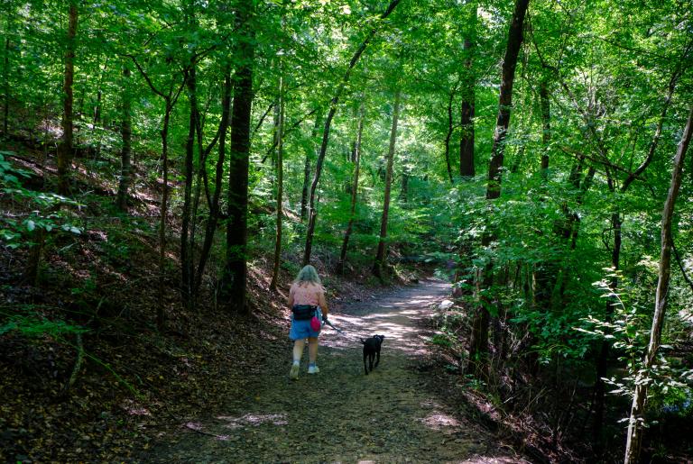 Ben Burton Park Trail