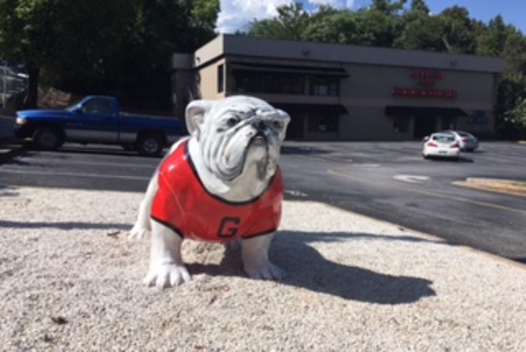Bookstore Dawg