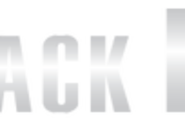 Black Belt Acad. Logo