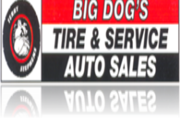 Big Dog Tire Logo