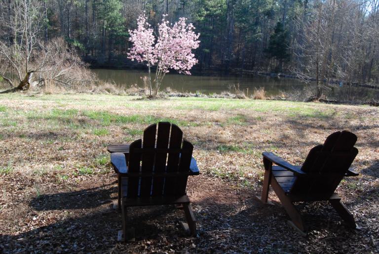 On Angel Oaks pond