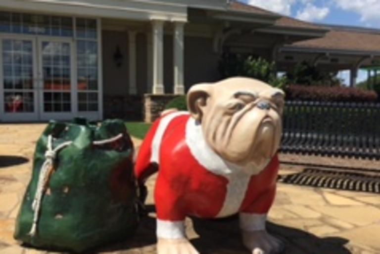 Santa Dawg