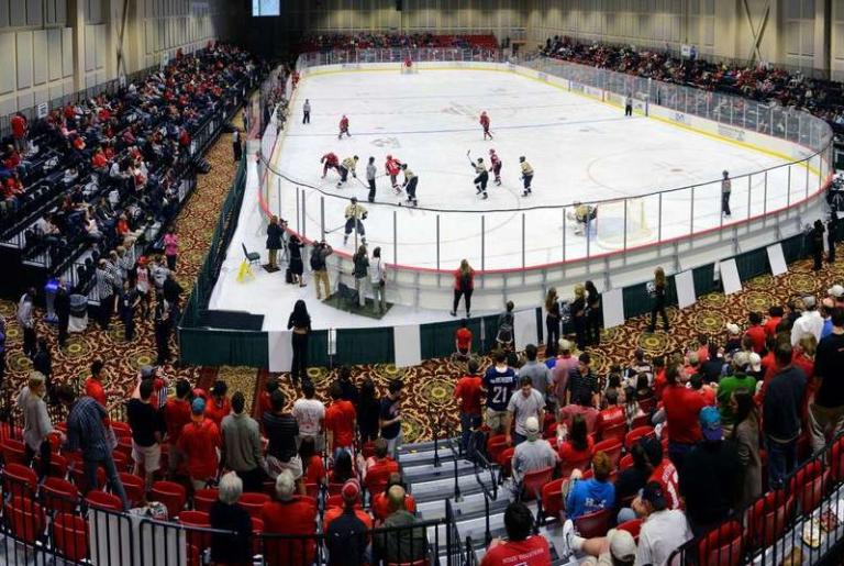 UGA Ice Dogs Panorama
