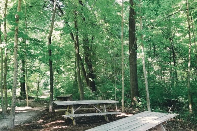 Cheeney Creek Image 2