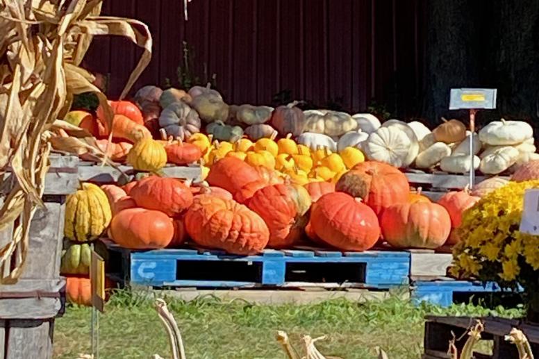 Russell Farms 1