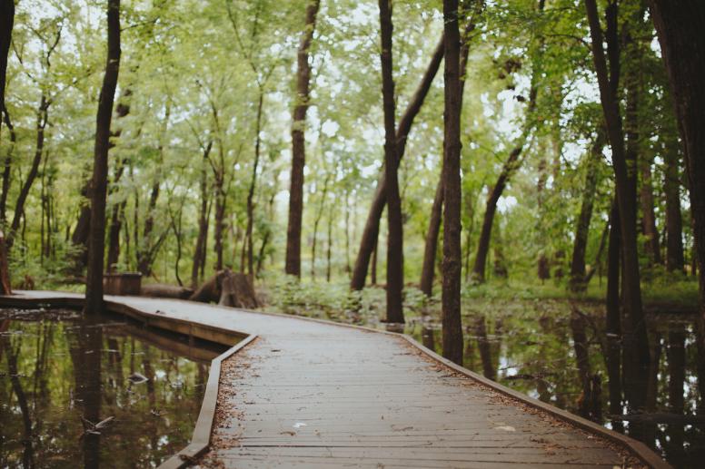 Ritchey Woods