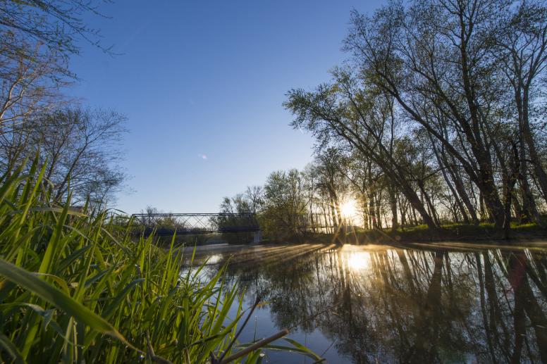 White River Campground