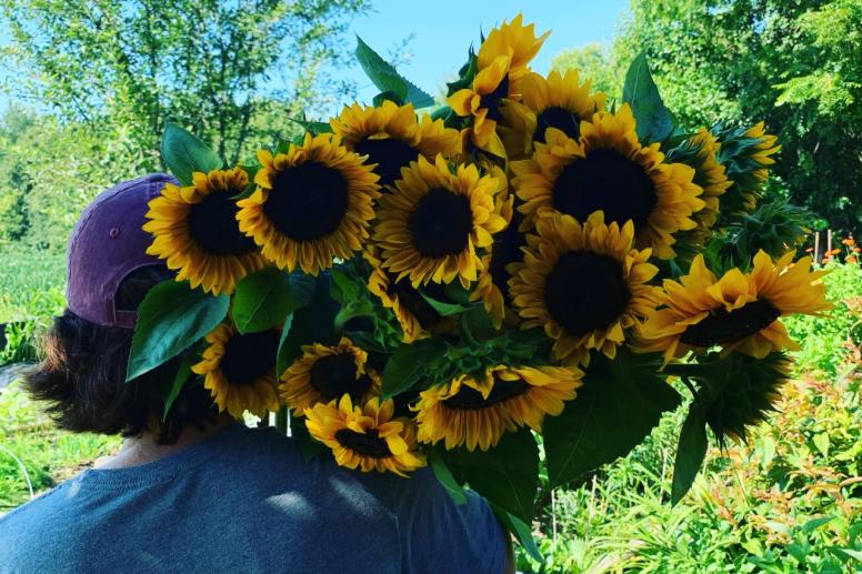 Little Petal Farm
