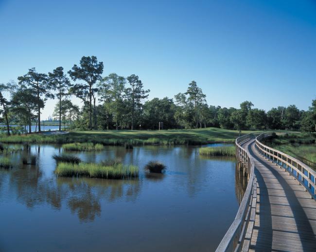 Gray Plantation's Signature Hole