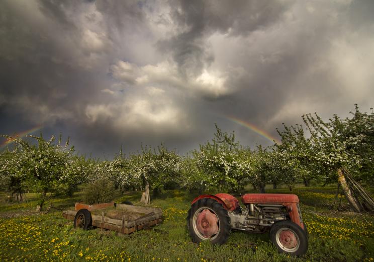 TKtractor