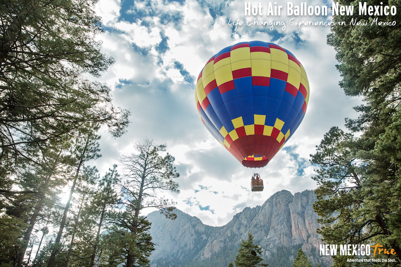 Hot Air Balloon in New Mexico