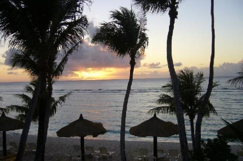 Coco Palm Beach Garden Image 01