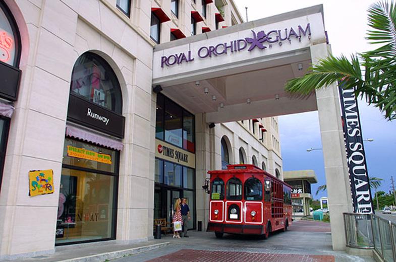Royal Orchid