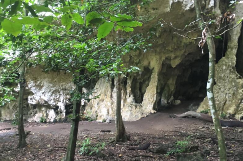 Guam NWR - Cave