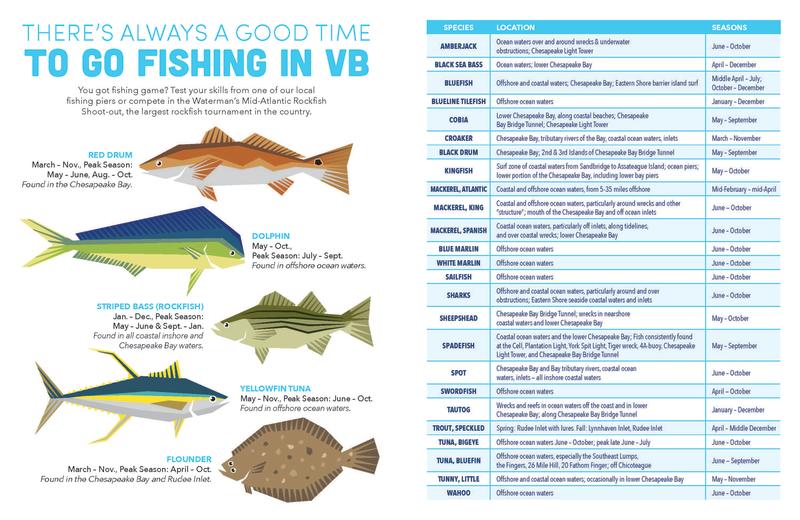 Chesapeake Bay Fish Identification Chart
