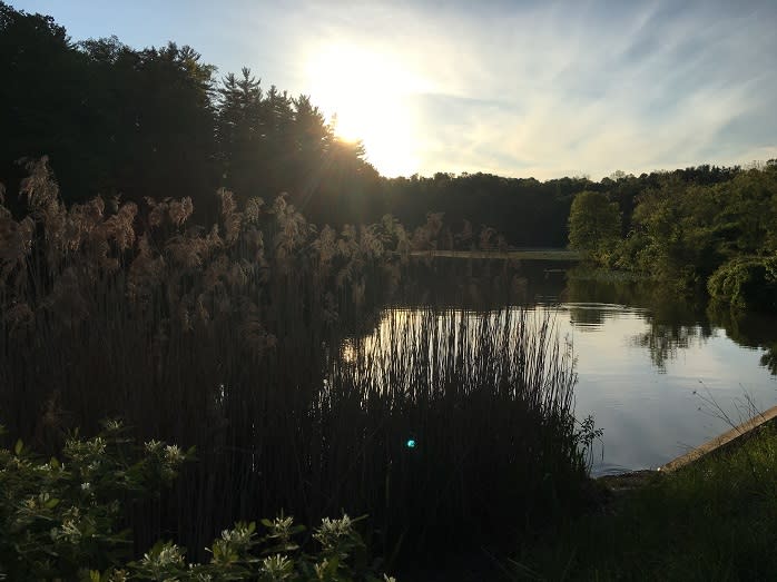 Lake Williams in York, PA