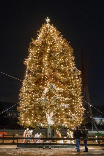 Bethlehem's Christmas Tree at Payrow Plaza