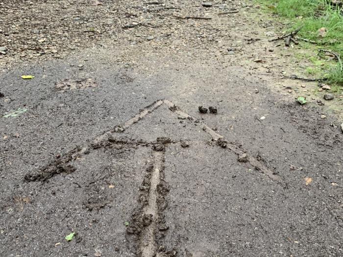 Hiking trail in Frederick County