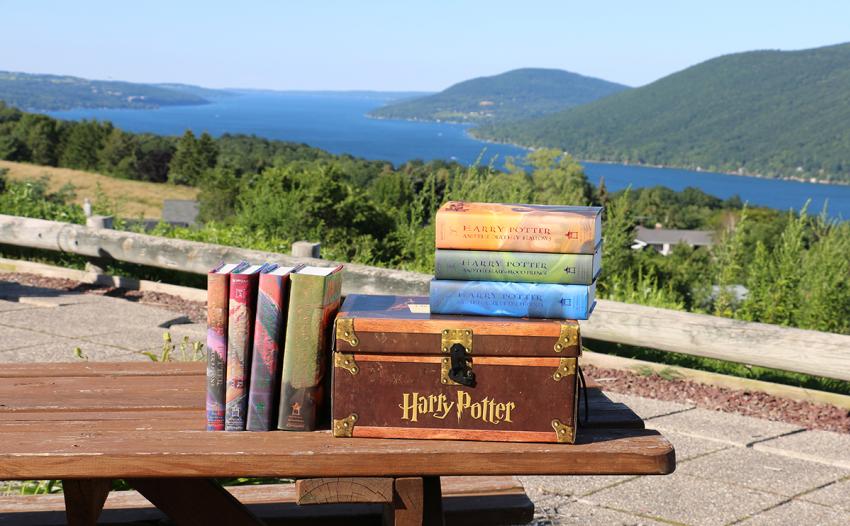 Harry Potter collection at the County Road 12 overlook