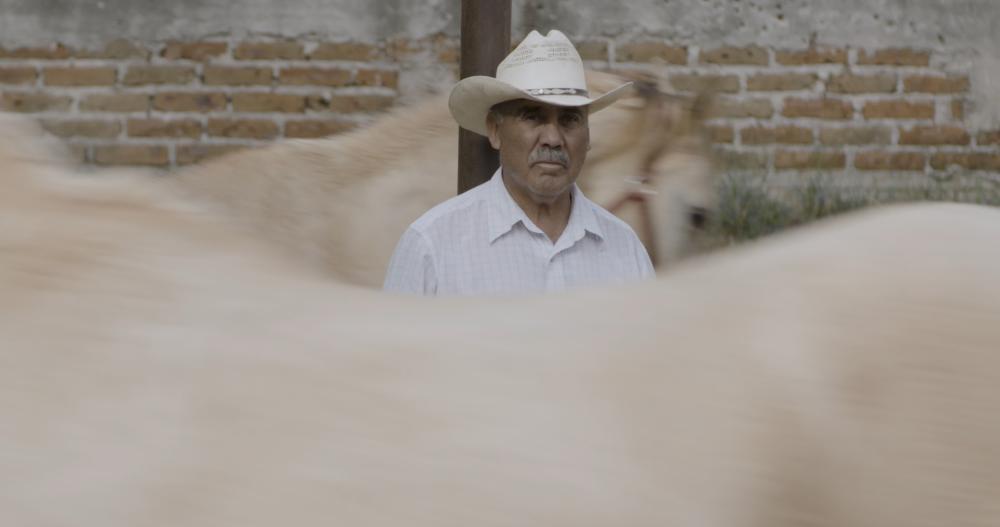 still from Caballerango film man surrounded by horses