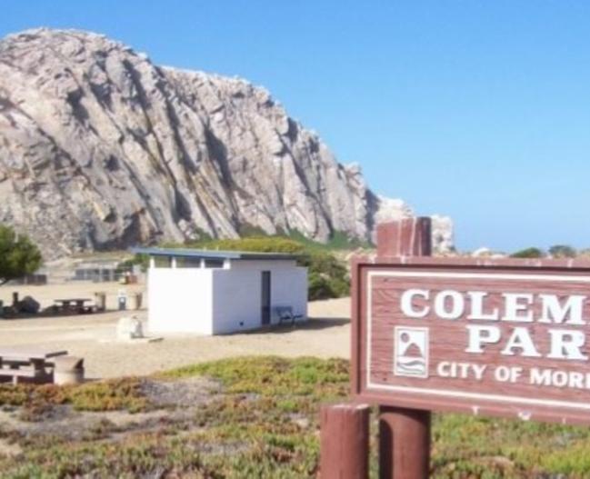 Coleman Park Beach