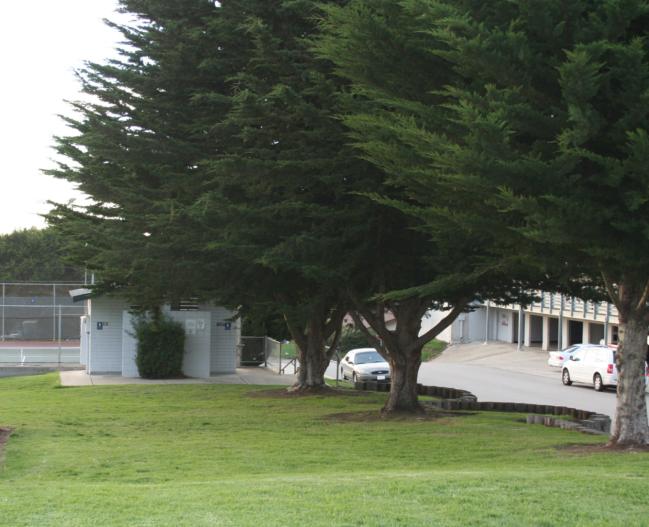 29727_MonteYoung.jpg