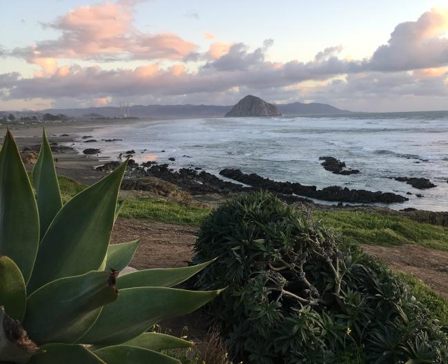 Morro Strand Beach