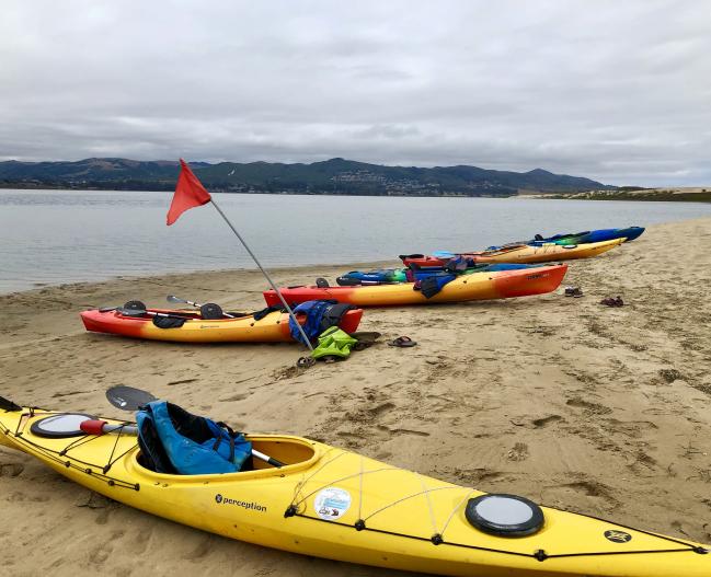 kayak on sandspit