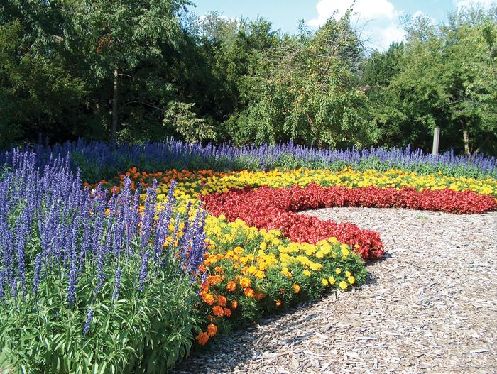 Klehm Arboretum Rainbow Garden