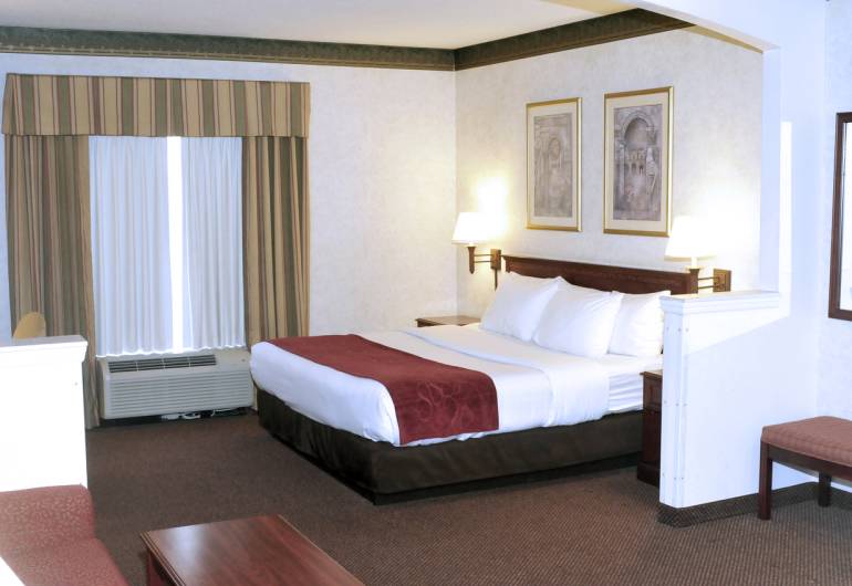 Comfort Suites Newark (Downtown)