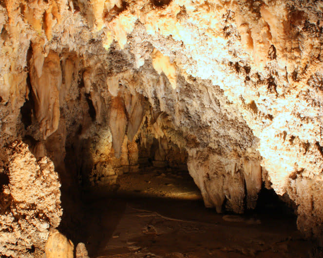 Timpanogos Cave