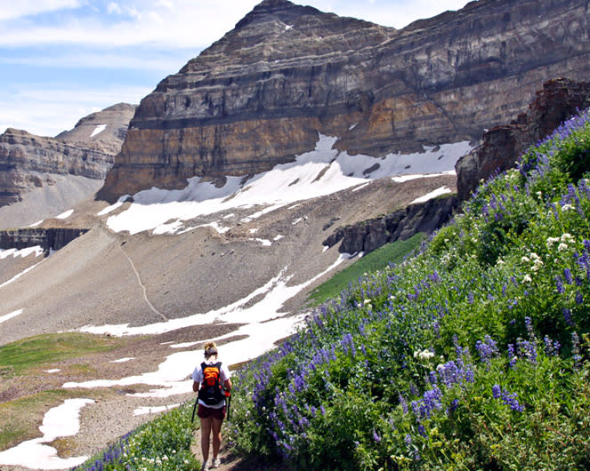 Hiking Mount Timpanogos