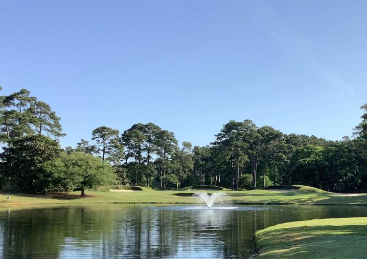 Eagle Nest Fountain Main