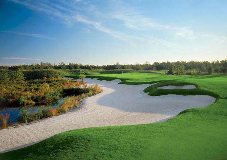 The Fazio Course
