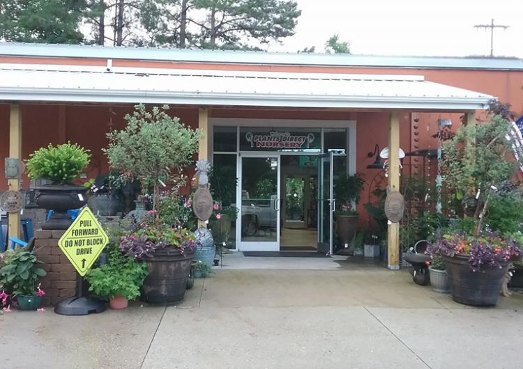 Plants Direct