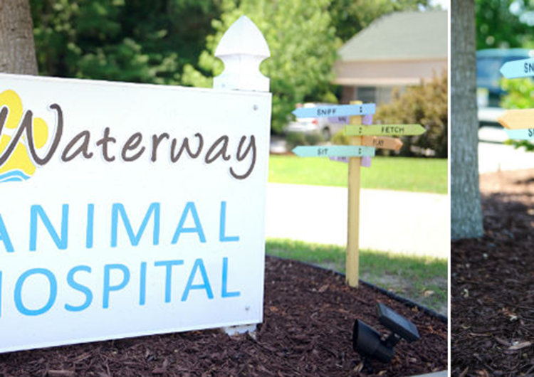 Waterway Animal Hospital