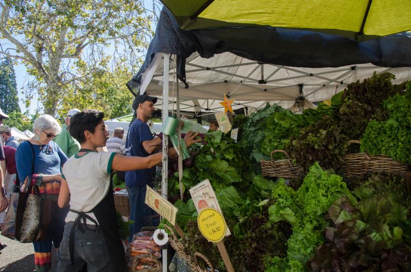 Farm Stand at Lane County Farmers Market by Katie McGuigan Farm Stand at Lane County Farmers Market by Katie McGuigan