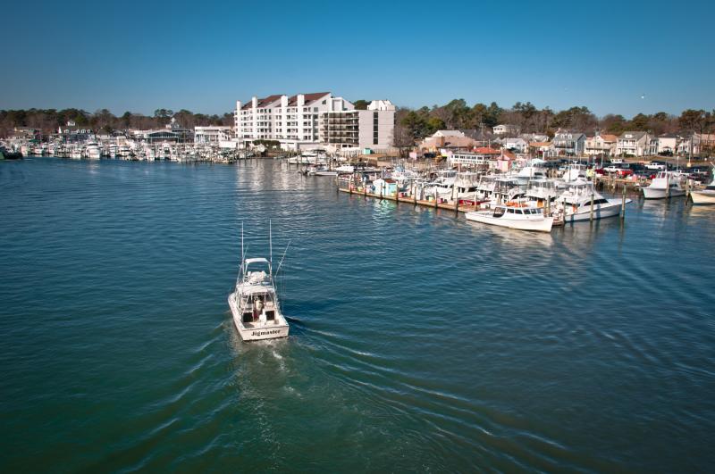 Boats Docked at the Rudee Inlet In Virginia Beach