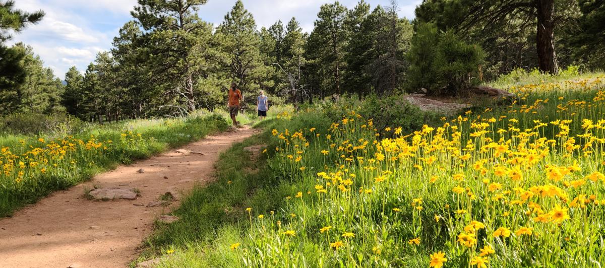 People hiking Shanahan Ridge Trail