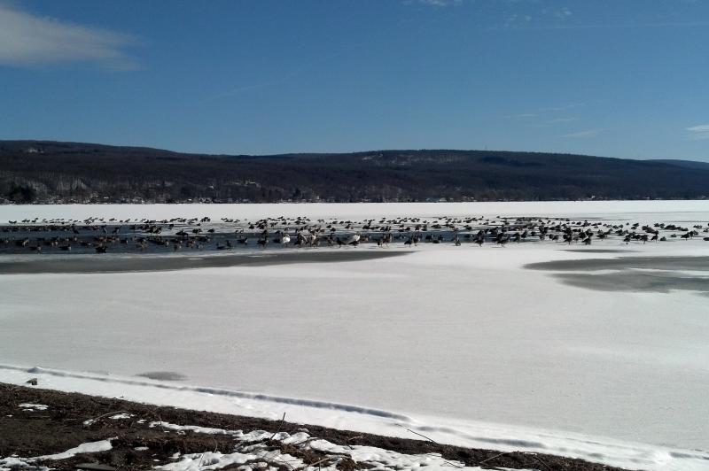 honeoye-lake-honeoye-winter
