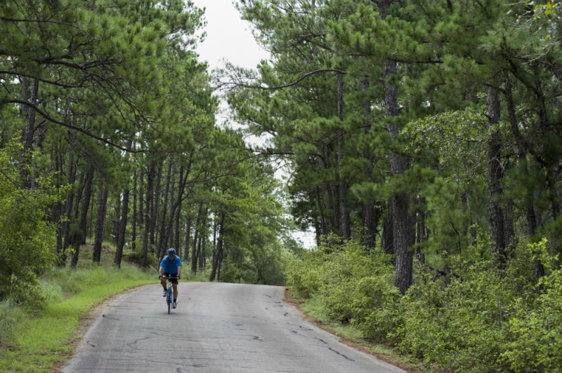 Biking through Lost Pines