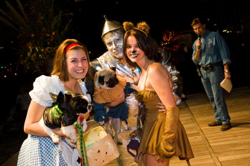 discovery green scream halloween