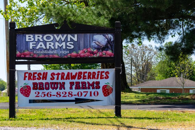 Brown Farm Strawberry
